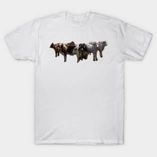 cows T-Shirt